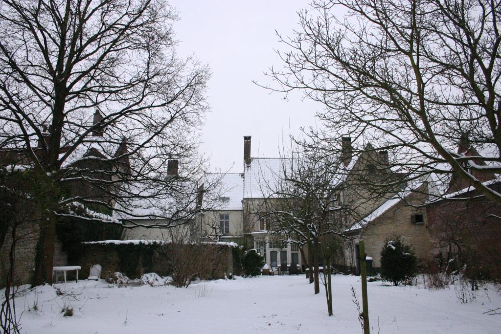 B&B De Sterre Brugge Bagian luar foto